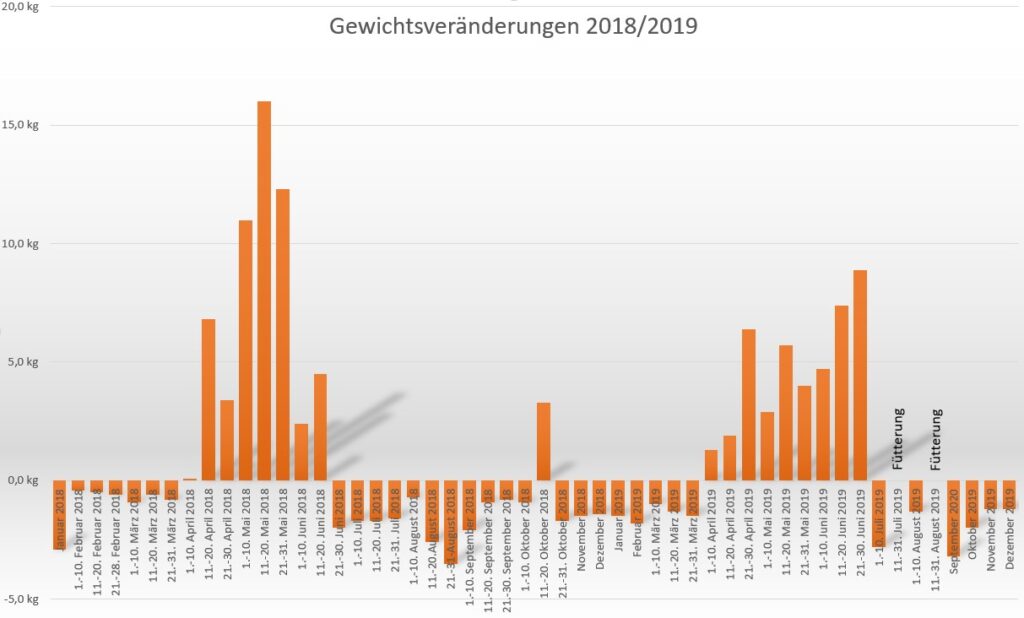 Stockwaage Spandau - Gewichtsveränderungen 2018/2019